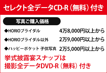 セレクト全データCD-R無料